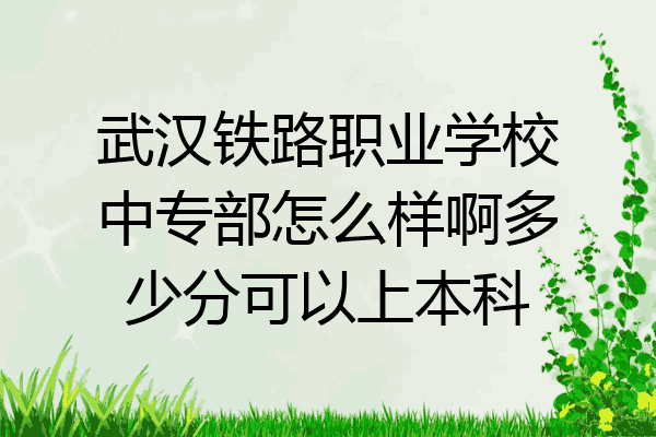 武汉铁路职业学校中专部怎么样啊多少分可以上本科
