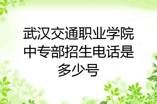 武汉交通职业学院中专部招生电话是多少号