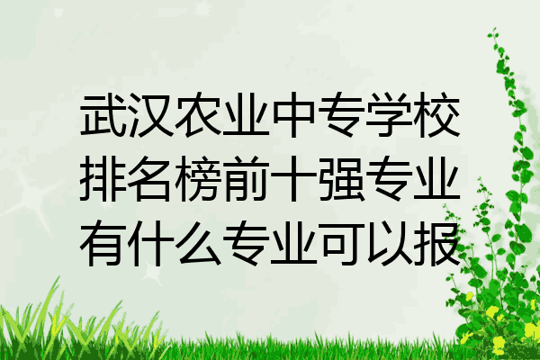 武汉农业中专学校排名榜前十强专业有什么专业可以报