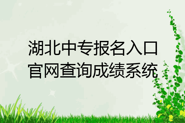 湖北中专报名入口官网查询成绩系统