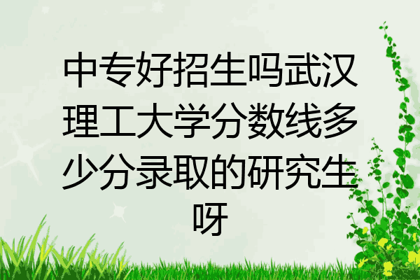 中专好招生吗武汉理工大学分数线多少分录取的研究生呀
