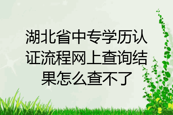 湖北省中专学历认证流程网上查询结果怎么查不了