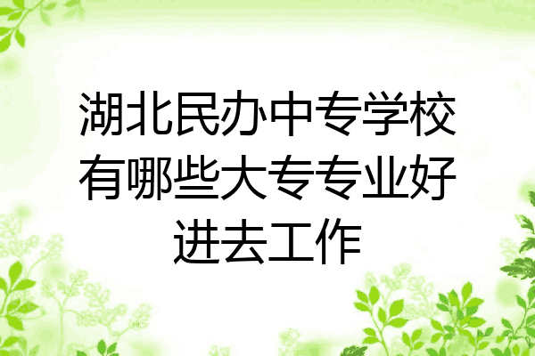 湖北民办中专学校有哪些大专专业好进去工作