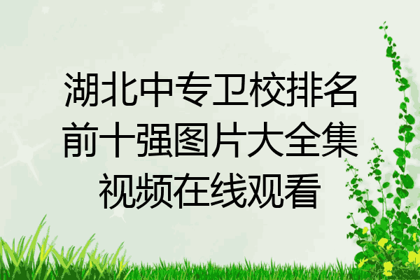湖北中专卫校排名前十强图片大全集视频在线观看