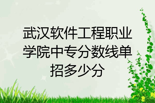 武汉软件工程职业学院中专分数线单招多少分