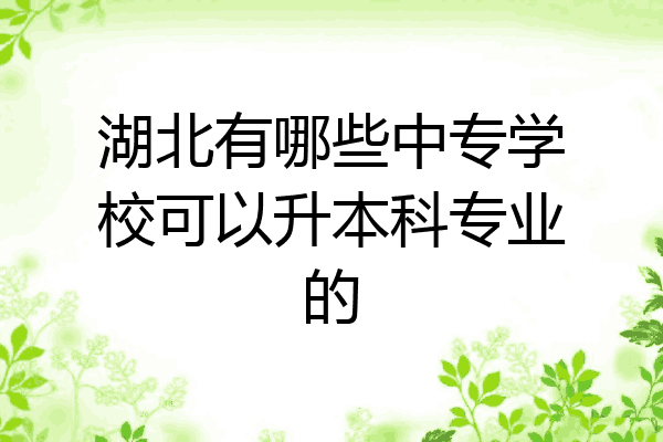 湖北有哪些中专学校可以升本科专业的