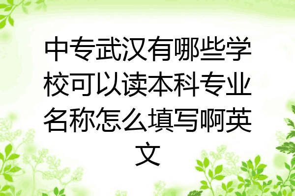 中专武汉有哪些学校可以读本科专业名称怎么填写啊英文