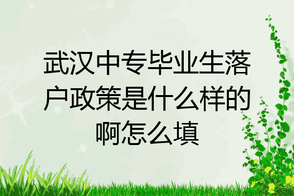 武汉中专毕业生落户政策是什么样的啊怎么填