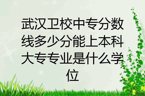 武汉卫校中专分数线多少分能上本科大专专业是什么学位