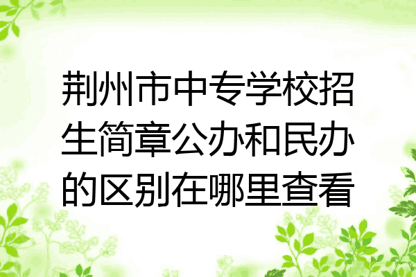 荆州市中专学校招生简章公办和民办的区别在哪里查看