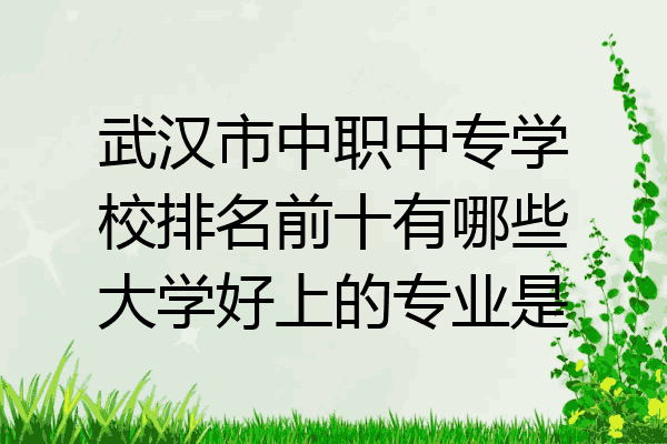 武汉市中职中专学校排名前十有哪些大学好上的专业是