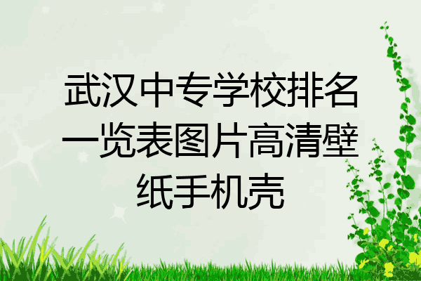 武汉中专学校排名一览表图片高清壁纸手机壳
