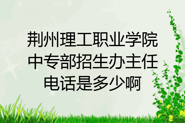 荆州理工职业学院中专部招生办主任电话是多少啊