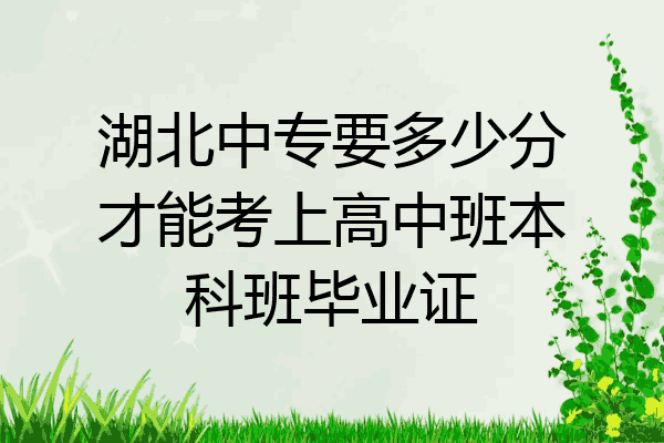 湖北中专要多少分才能考上高中班本科班毕业证