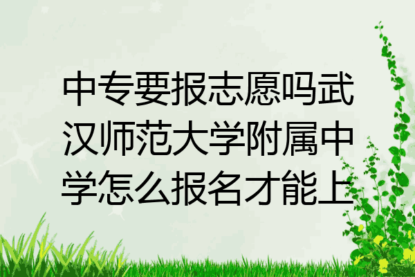 中专要报志愿吗武汉师范大学附属中学怎么报名才能上