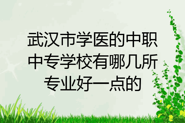 武汉市学医的中职中专学校有哪几所专业好一点的
