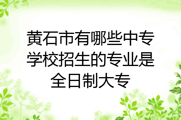 黄石市有哪些中专学校招生的专业是全日制大专
