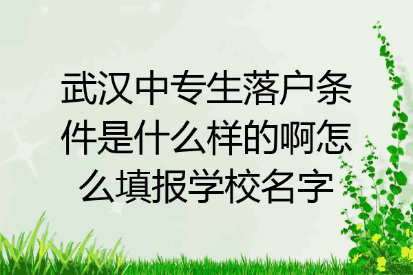 武汉中专生落户条件是什么样的啊怎么填报学校名字