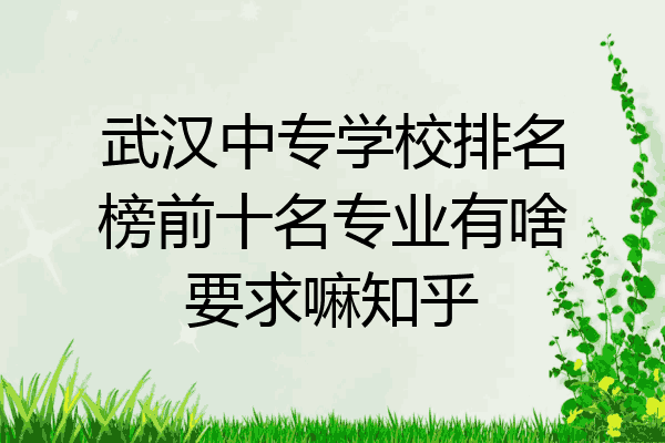 武汉中专学校排名榜前十名专业有啥要求嘛知乎