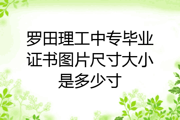罗田理工中专毕业证书图片尺寸大小是多少寸