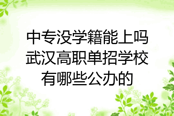 中专没学籍能上吗武汉高职单招学校有哪些公办的