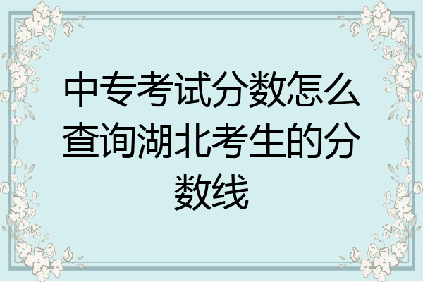 中专考试分数怎么查询湖北考生的分数线