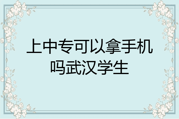 上中专可以拿手机吗武汉学生