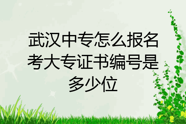 武汉中专怎么报名考大专证书编号是多少位