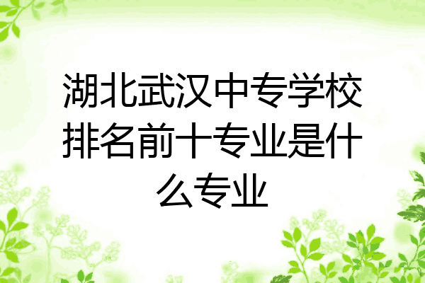 湖北武汉中专学校排名前十专业是什么专业