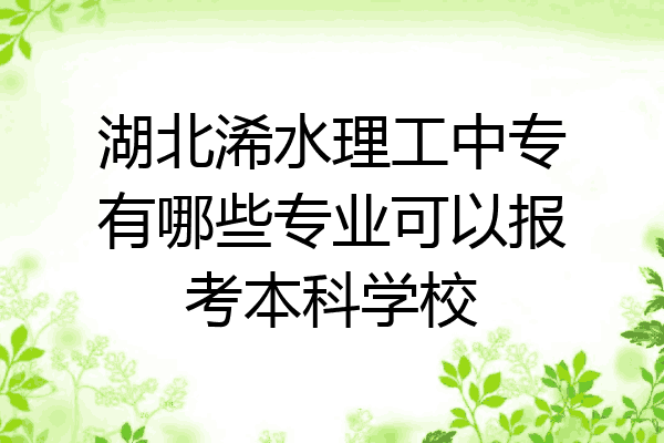 湖北浠水理工中专有哪些专业可以报考本科学校