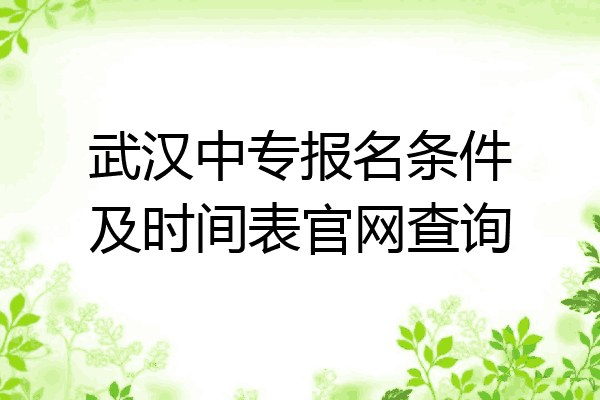 武汉中专报名条件及时间表官网查询