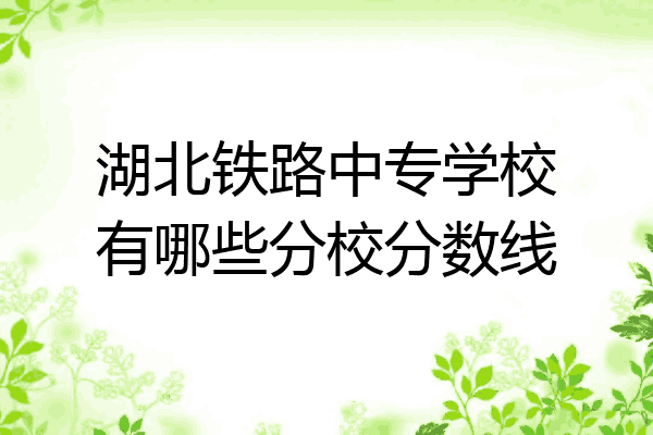 湖北铁路中专学校有哪些分校分数线