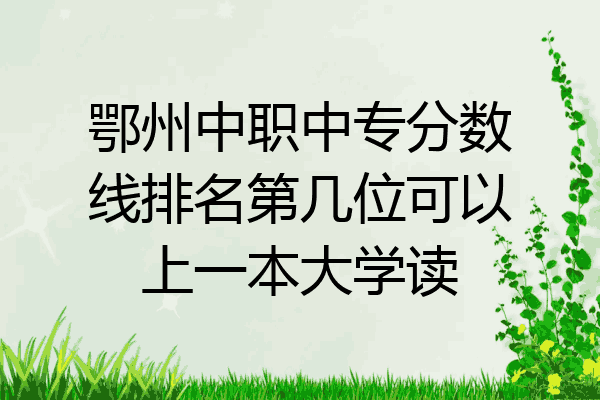 鄂州中职中专分数线排名第几位可以上一本大学读