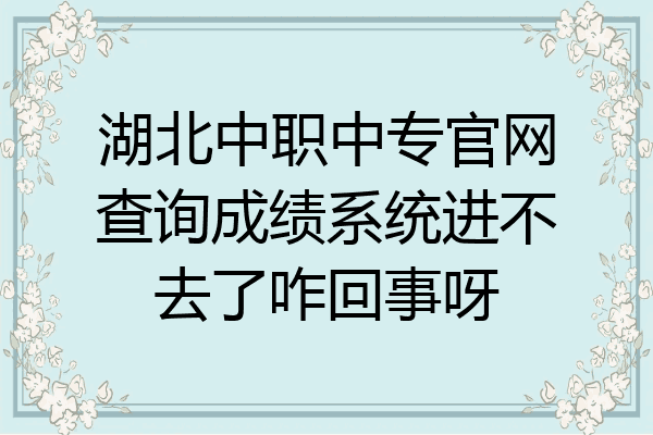湖北中职中专官网查询成绩系统进不去了咋回事呀