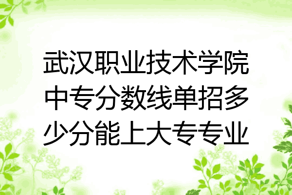 武汉职业技术学院中专分数线单招多少分能上大专专业