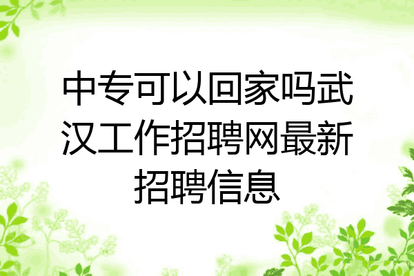中专可以回家吗武汉工作招聘网最新招聘信息