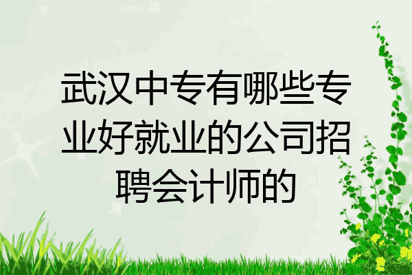 武汉中专有哪些专业好就业的公司招聘会计师的