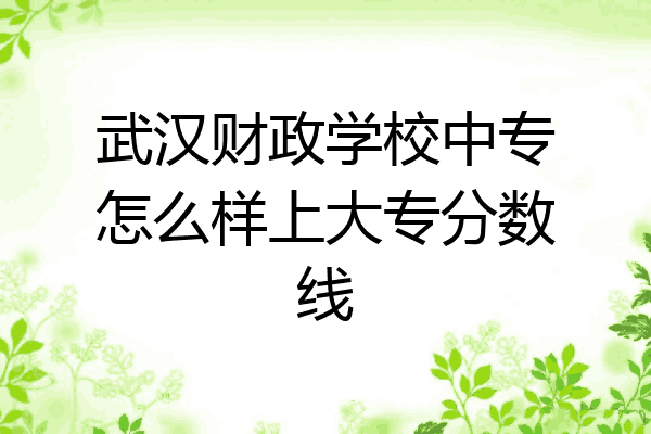 武汉财政学校中专怎么样上大专分数线