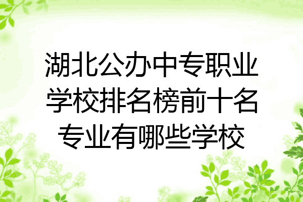湖北公办中专职业学校排名榜前十名专业有哪些学校