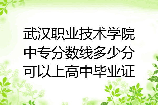 武汉职业技术学院中专分数线多少分可以上高中毕业证