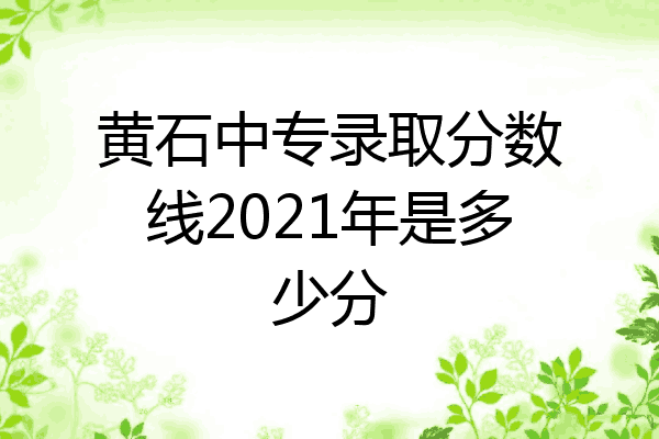 黄石中专录取分数线2021年是多少分