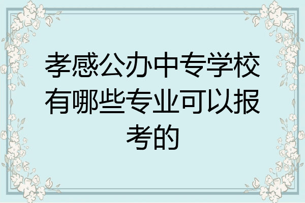 孝感公办中专学校有哪些专业可以报考的