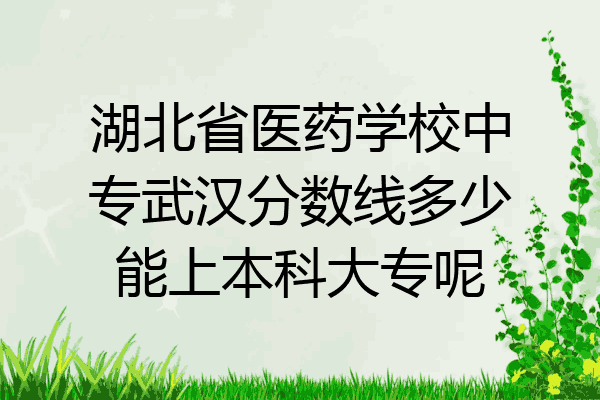 湖北省医药学校中专武汉分数线多少能上本科大专呢
