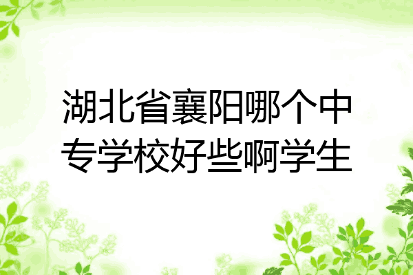 湖北省襄阳哪个中专学校好些啊学生