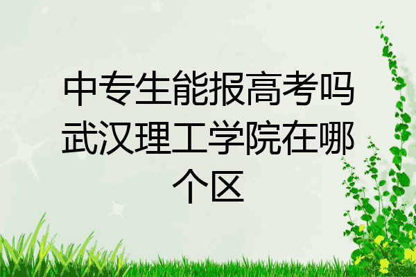 中专生能报高考吗武汉理工学院在哪个区