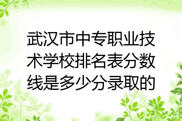 武汉市中专职业技术学校排名表分数线是多少分录取的