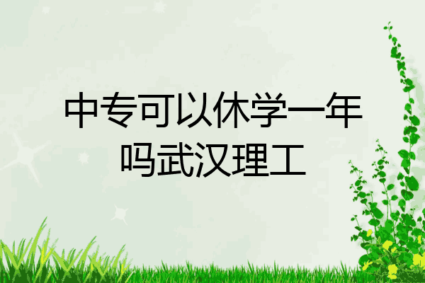 中专可以休学一年吗武汉理工