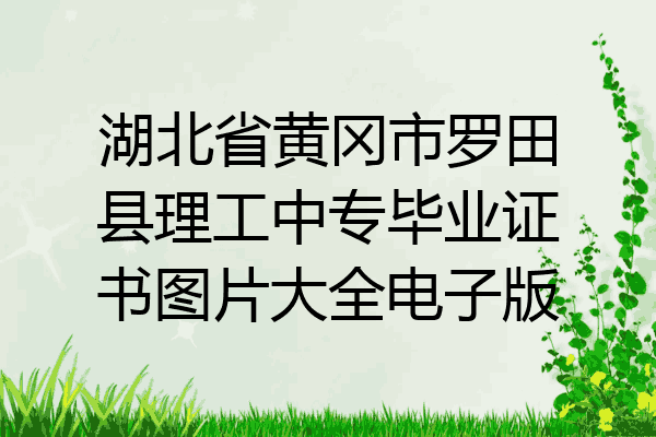 湖北省黄冈市罗田县理工中专毕业证书图片大全电子版
