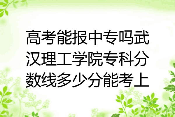 高考能报中专吗武汉理工学院专科分数线多少分能考上