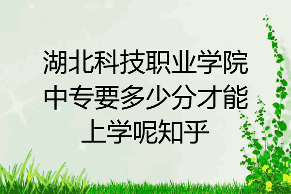 湖北科技职业学院中专要多少分才能上学呢知乎